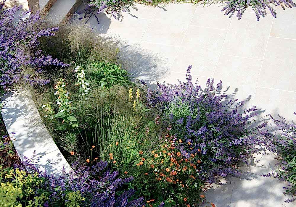 Planting