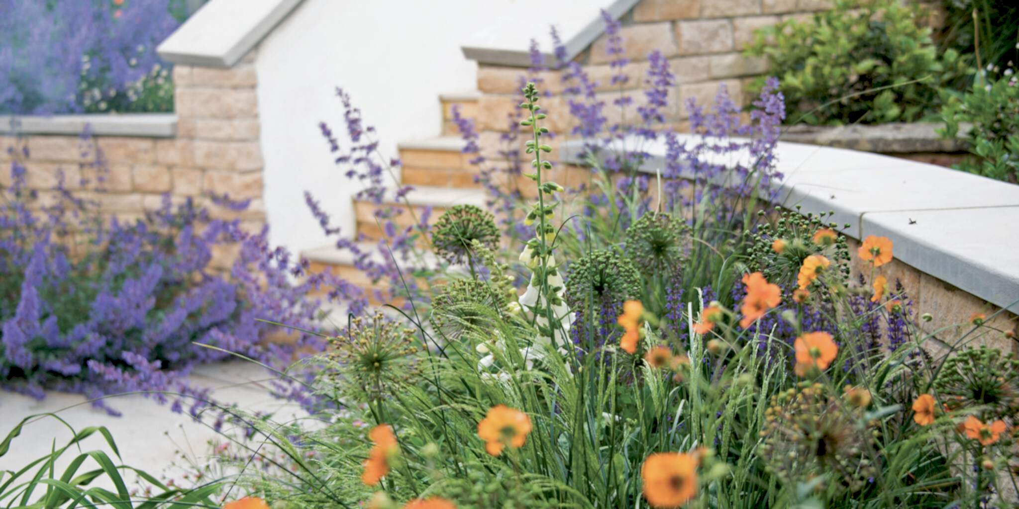Vibrant And Wild Planting In Oxford Uk Doug Holloway